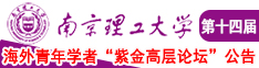 色逼色逼艹南京理工大学第十四届海外青年学者紫金论坛诚邀海内外英才！